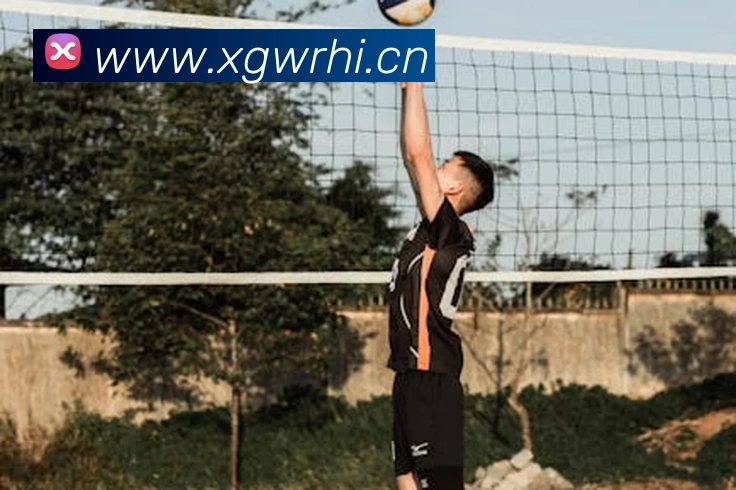 多媒体互动体验